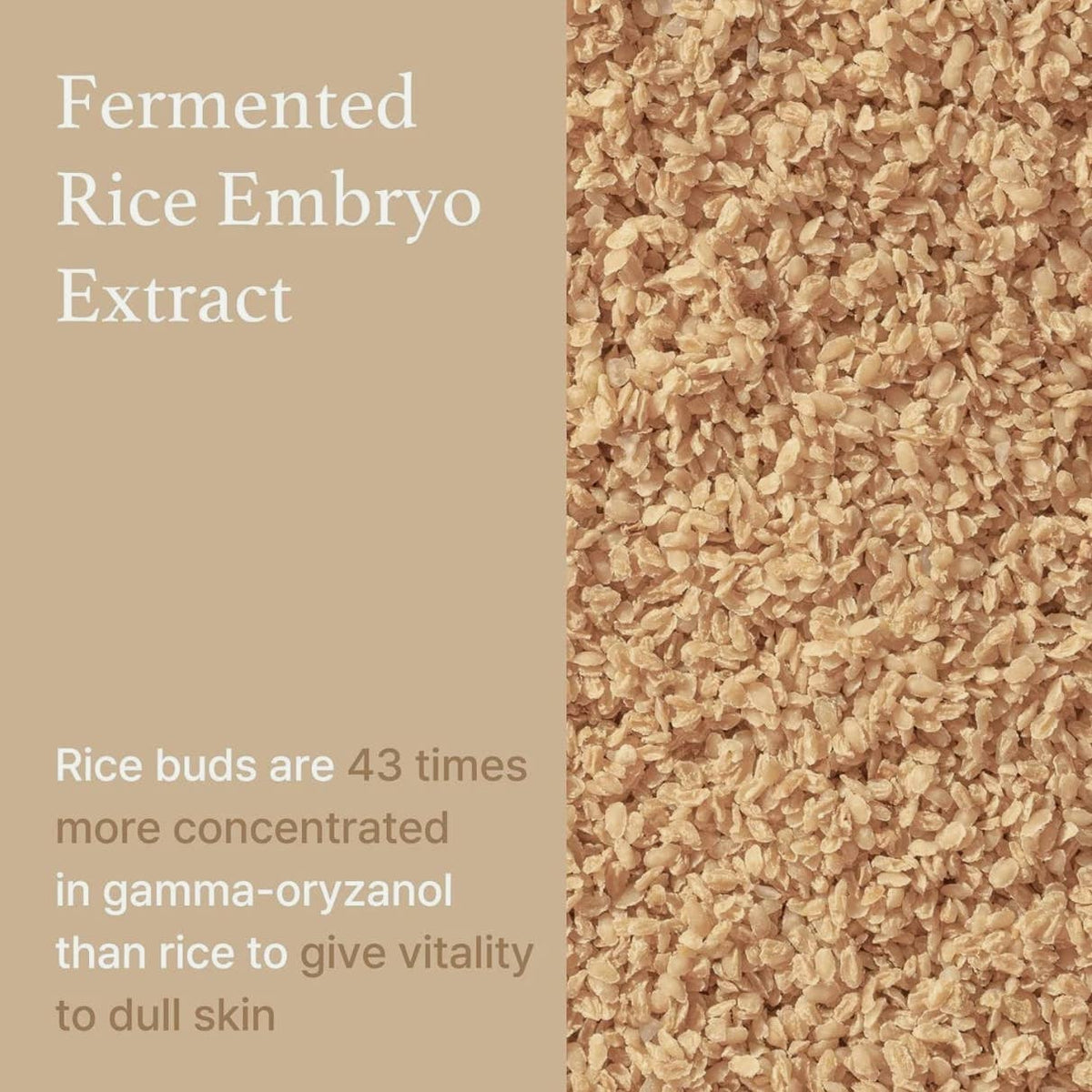I'm From Rice Whip Cleanser 30ml – Creamy Foam, Gently Cleans & Hydrates