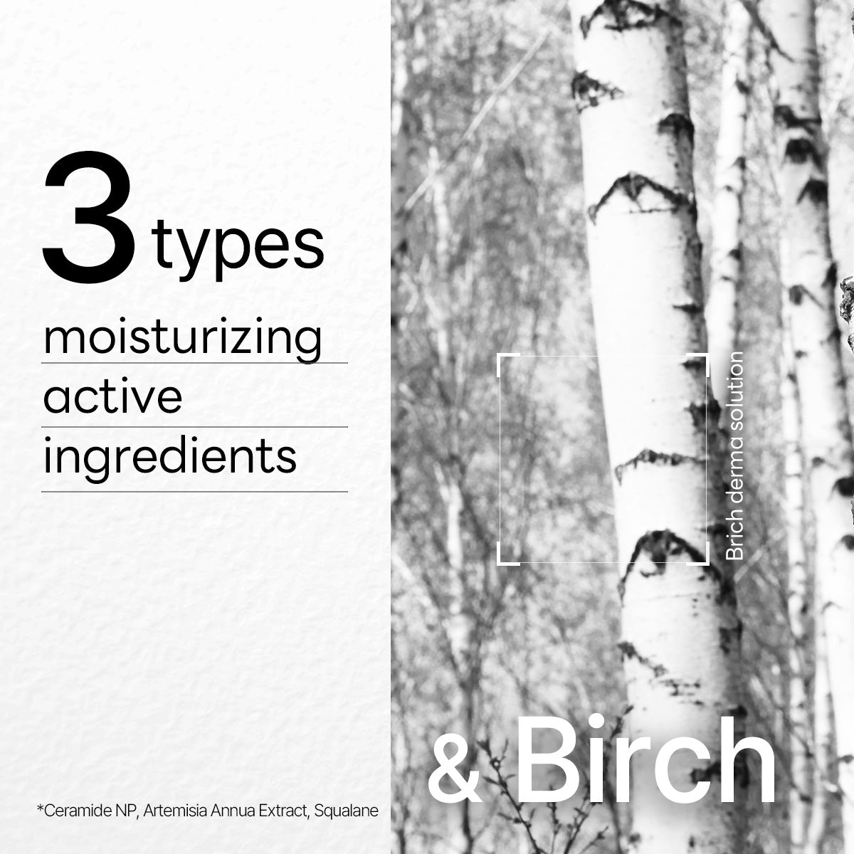 Mediheal Dermaplus Birch Sheet Mask — 1 Sheet